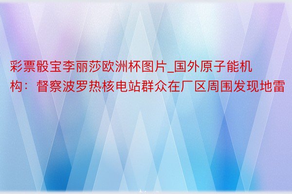 彩票骰宝李丽莎欧洲杯图片_国外原子能机构：督察波罗热核电站群众在厂区周围发现地雷