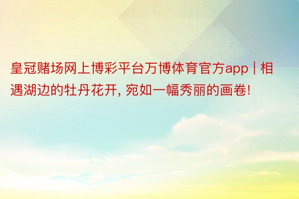 皇冠赌场网上博彩平台万博体育官方app | 相遇湖边的牡丹花开, 宛如一幅秀丽的画卷!