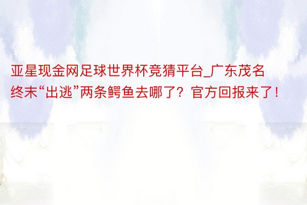 亚星现金网足球世界杯竞猜平台_广东茂名终末“出逃”两条鳄鱼去哪了？官方回报来了！