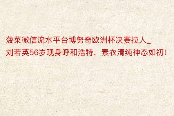 菠菜微信流水平台博努奇欧洲杯决赛拉人_刘若英56岁现身呼和浩特,素衣清纯神态如初!